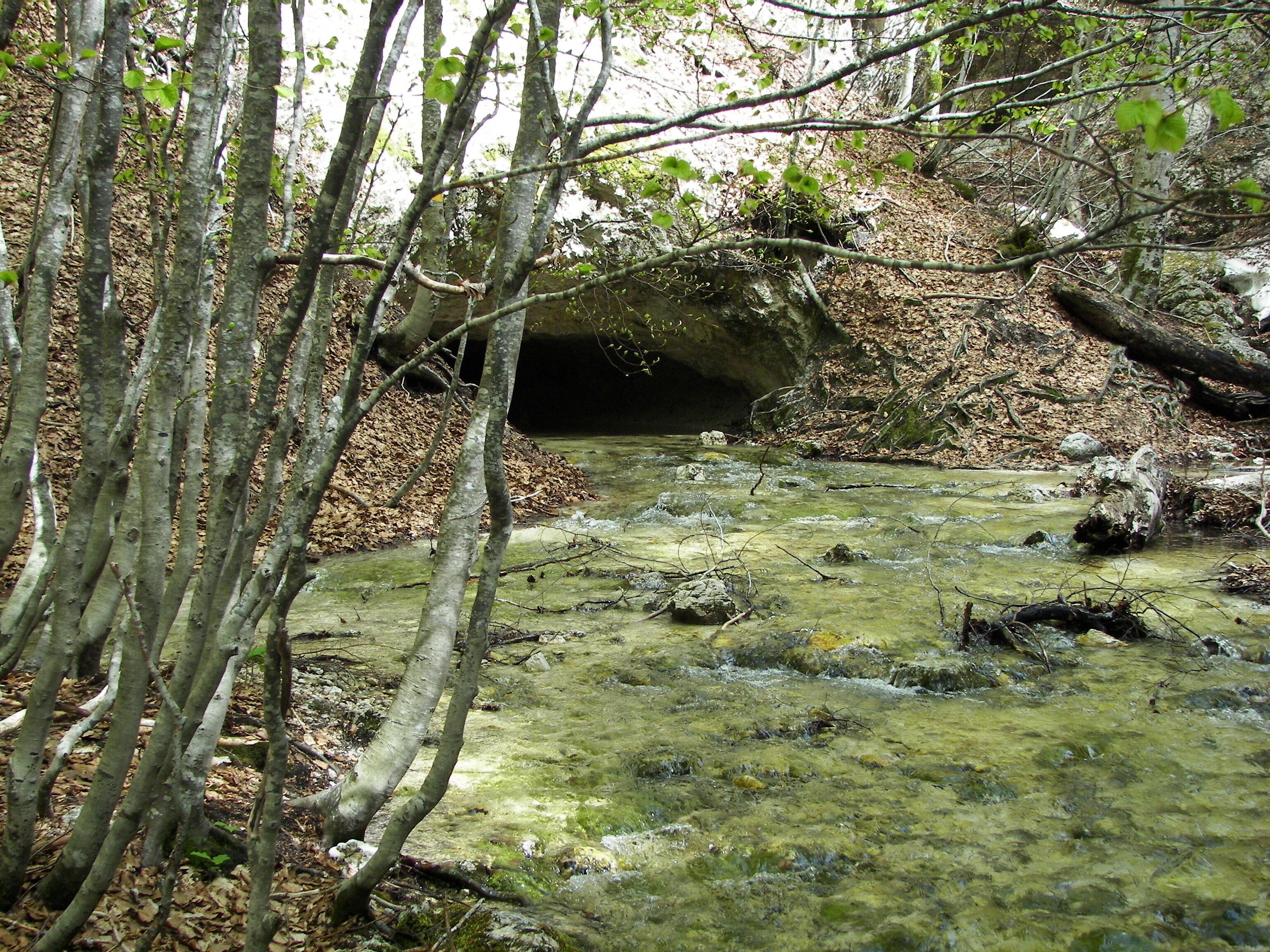 Parco Nazionale d'Abruzzo, Lazio e Molise