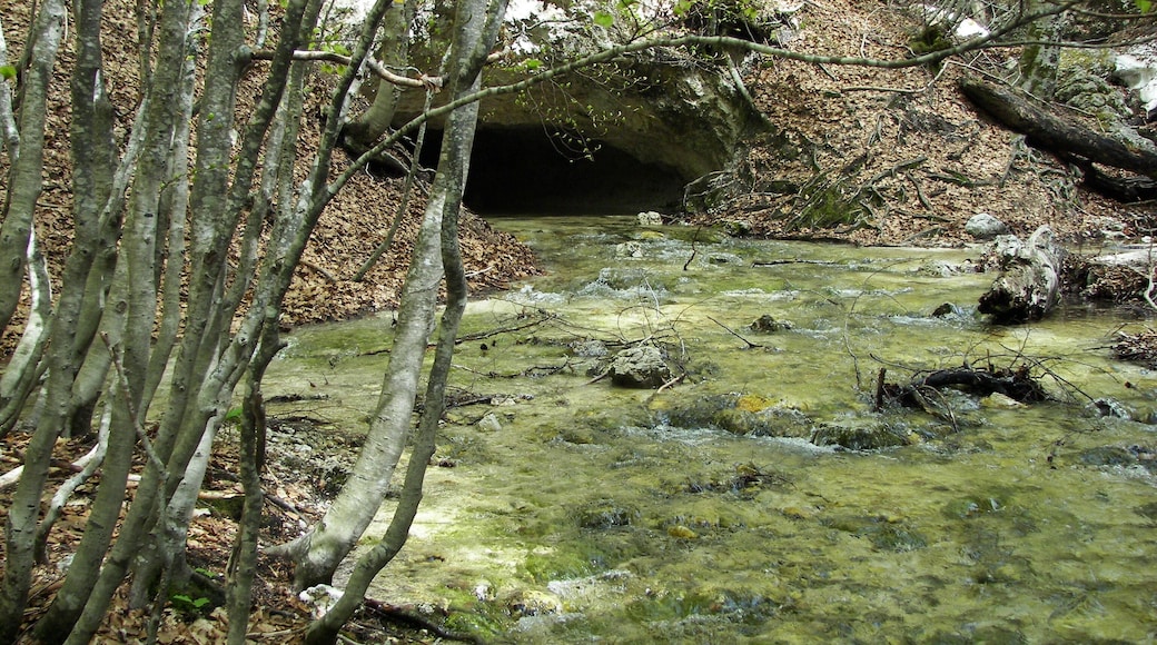 Parco Nazionale d'Abruzzo, Lazio e Molise