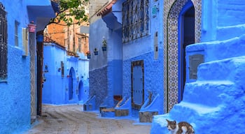 Chefchaouen medina