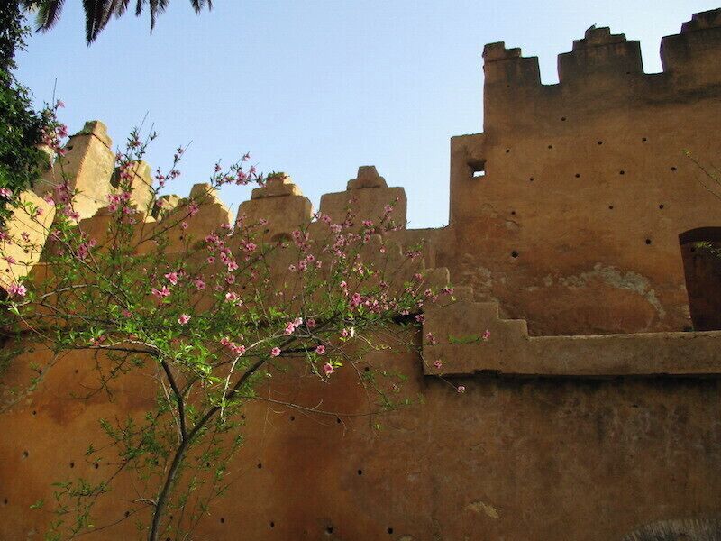 The softness of a tree in bloom against the hardened texture of a crenelated wall.  I believe the construction here is rammed earth, which I would learn more about when I reached Kasbah Amridil in Skoura.

I learned in Rabat that the holes in the walls facilitated the scaffolding during construction, and were left open afterwards to facilitate air circulation within the fortification.

https://davenotravels.blog

https://davenotravels.blog
