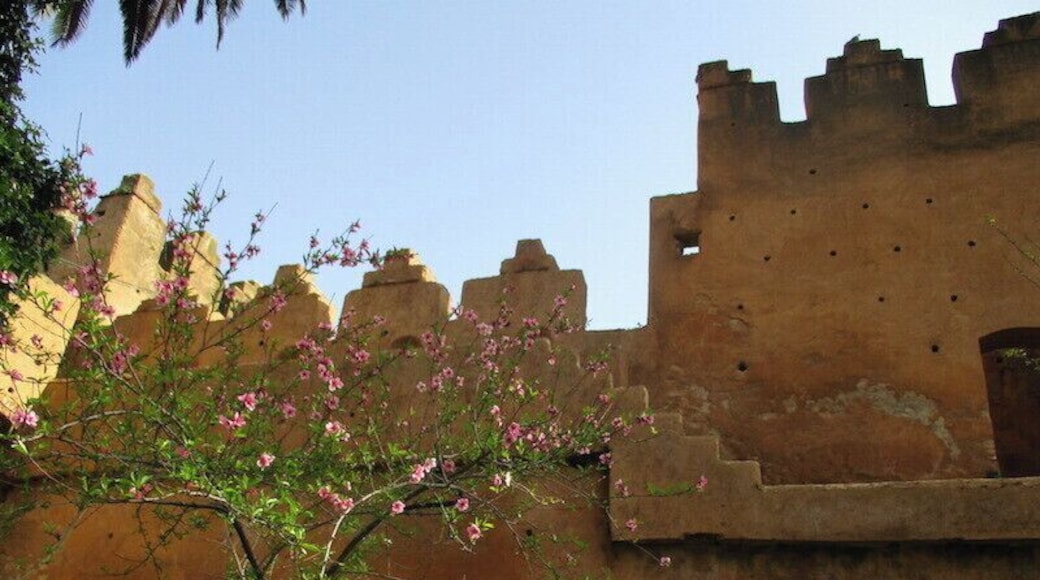 The softness of a tree in bloom against the hardened texture of a crenelated wall. I believe the construction here is rammed earth, which I would learn more about when I reached Kasbah Amridil in Skoura.
I learned in Rabat that the holes in the walls facilitated the scaffolding during construction, and were left open afterwards to facilitate air circulation within the fortification.
https://davenotravels.blog
https://davenotravels.blog