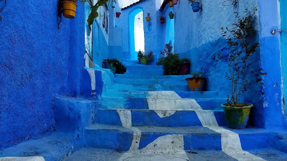 Speechless!! This city is too beautiful. #takeahike
#morocco #bluecity #beautiful #art