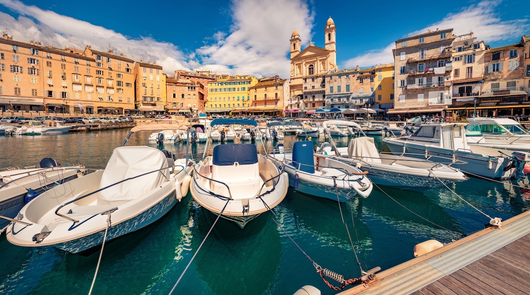 Attractive summer cityscape of Bastia port with twin-towered Church of St. Jean-Baptiste rising behind it. Splendid morning view of Corsica island, France, Europe. Beautiful Mediterranean seascape.