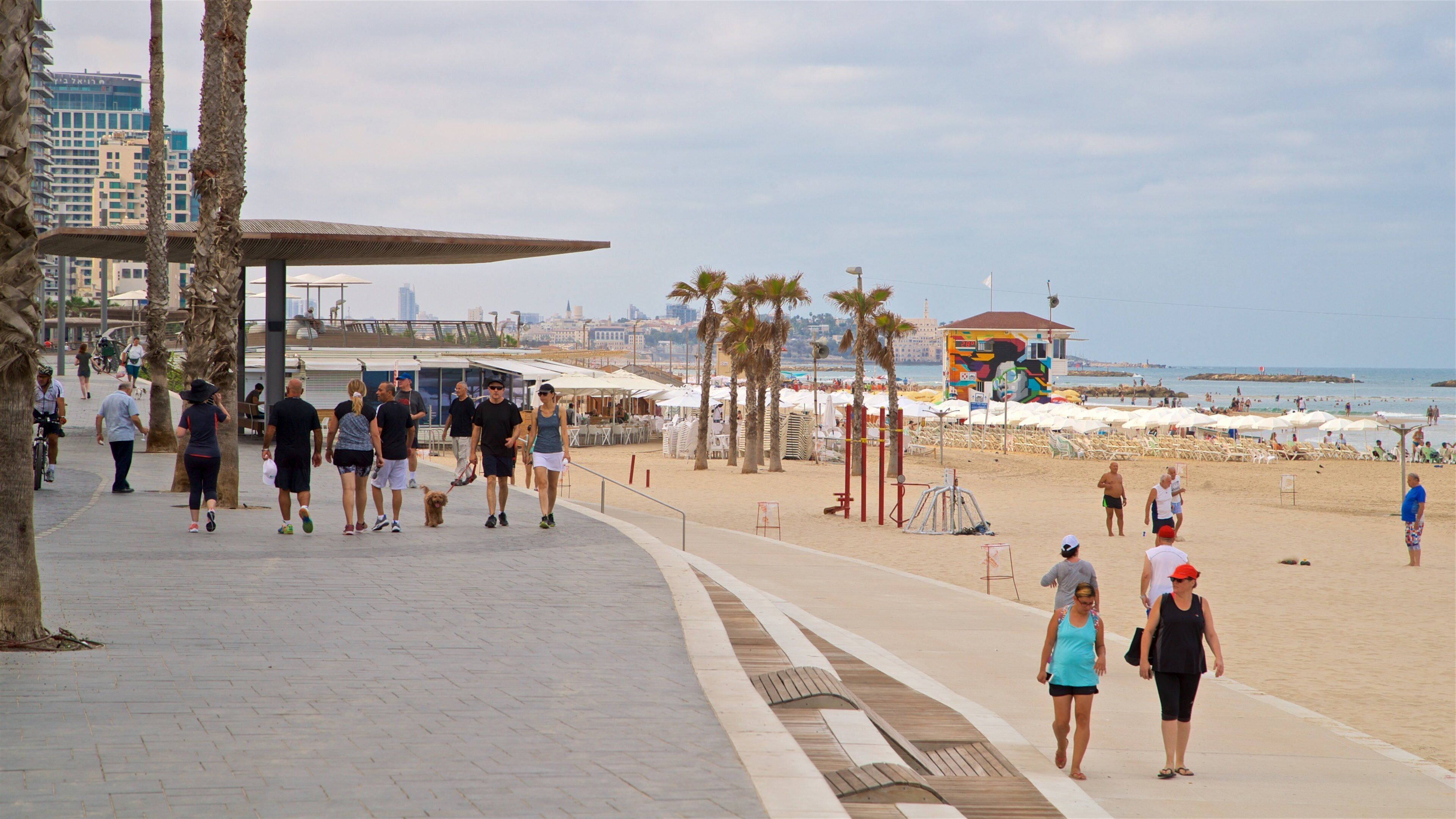 A beachside promenade with palm trees, beach umbrellas, and a lifeguard tower.