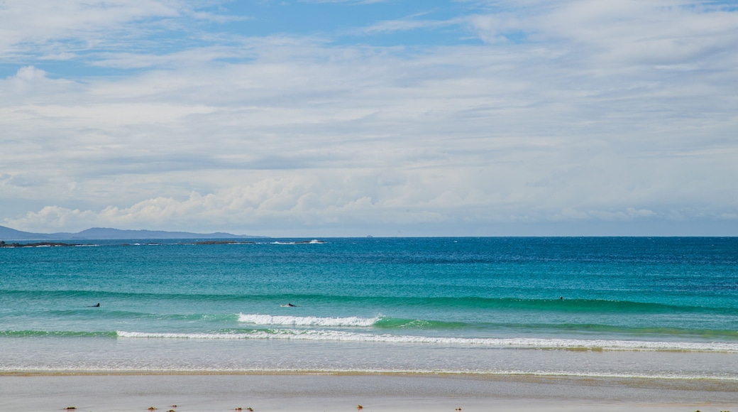 Woolgoolga Beach which includes general coastal views and a sandy beach
