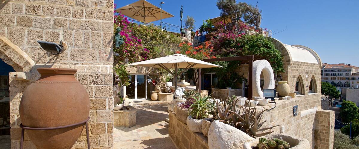 Museu Ilana Goor caracterizando flores silvestres