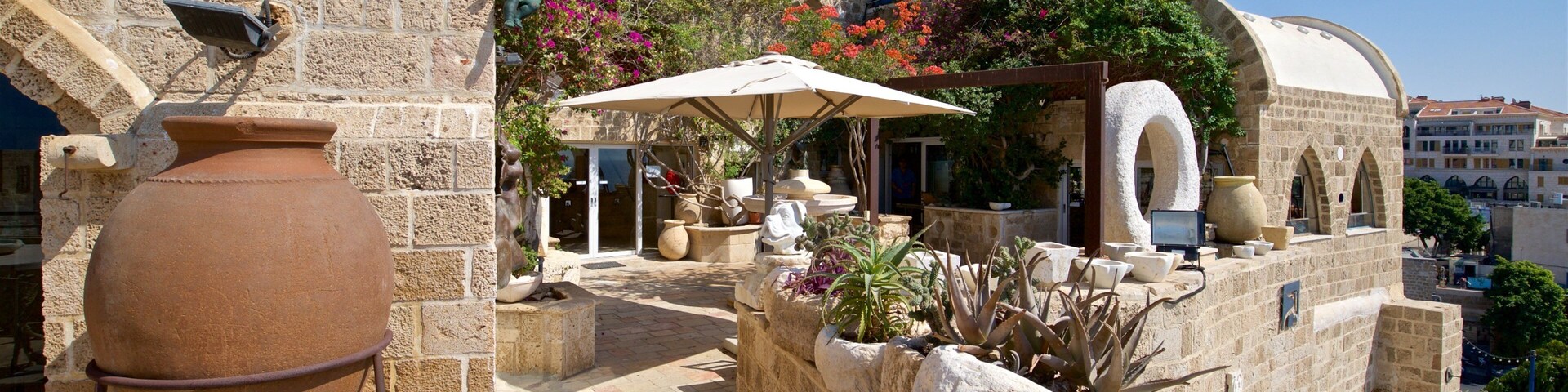 Museo Ilana Goor mostrando flores salvajes