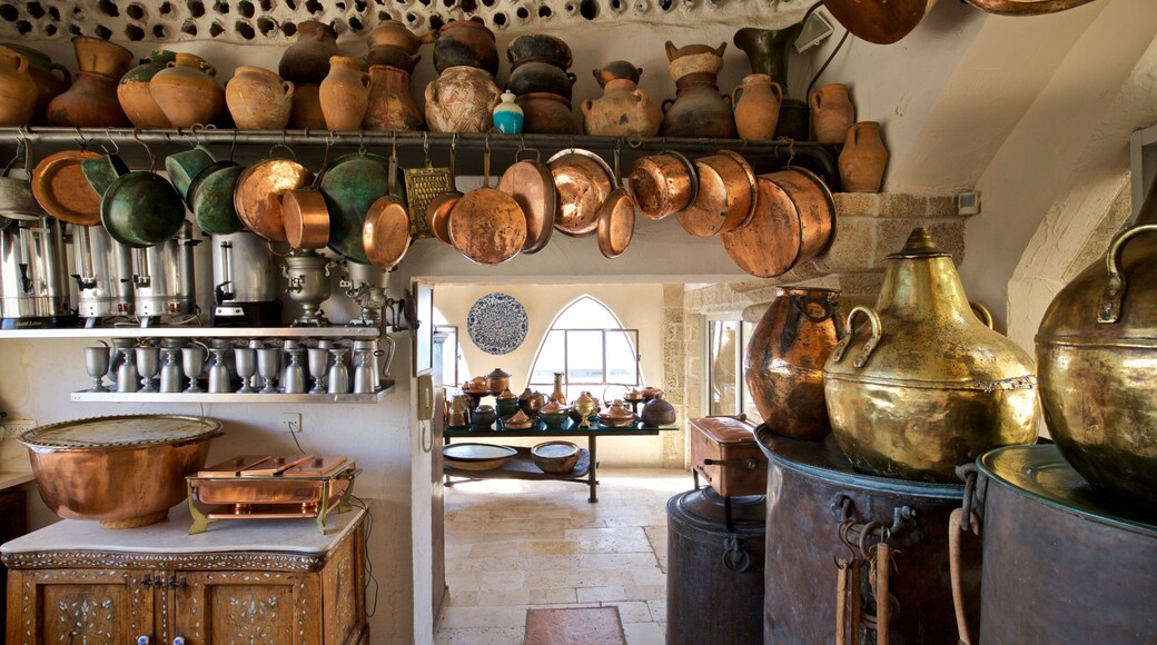 Ilana Goor Museum which includes interior views