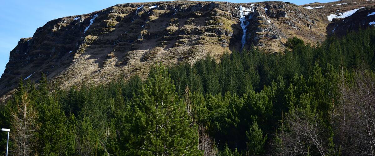 Úlfarsfell