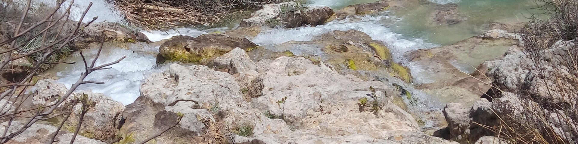 Un arroyo pedregoso con agua cristalina, rodeado de vegetación seca y escasos árboles.