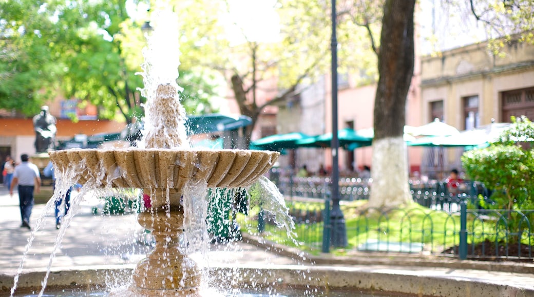 Rose Garden featuring a garden and a fountain