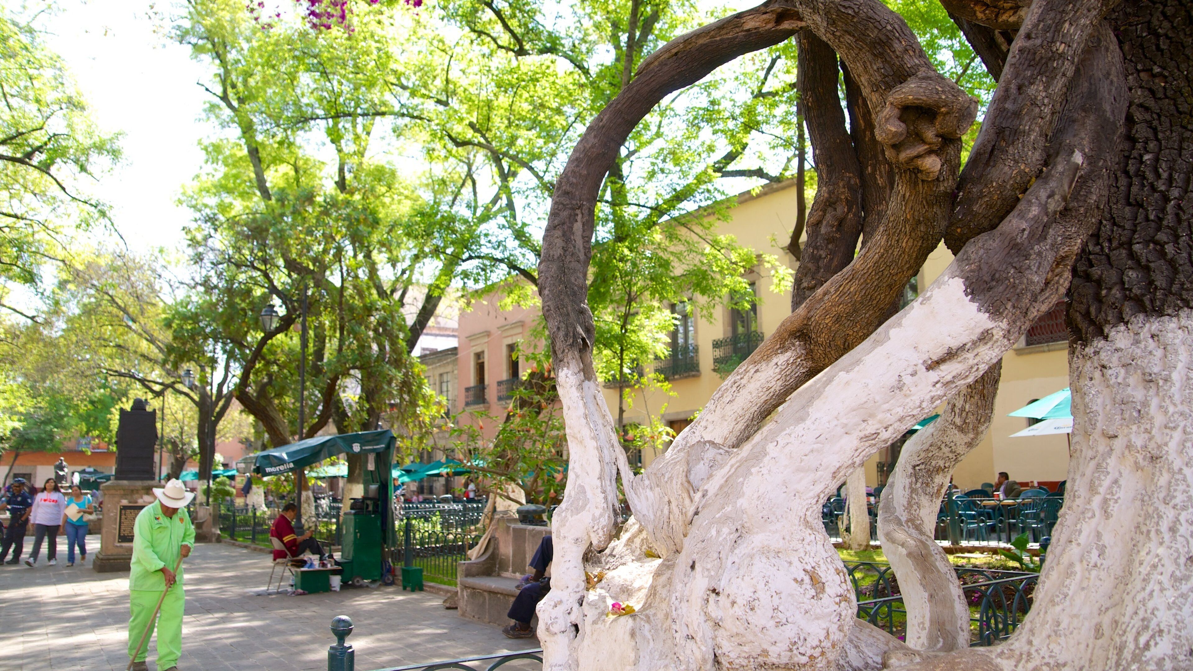 Rose Garden featuring outdoor art and a park