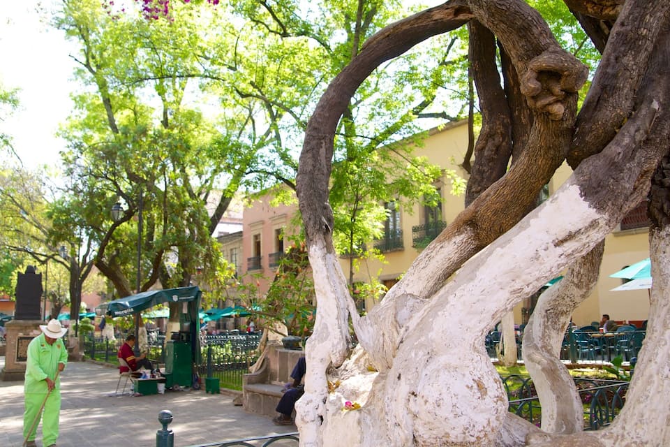 A tree-lined street with a statue, a green tent, and people walking.