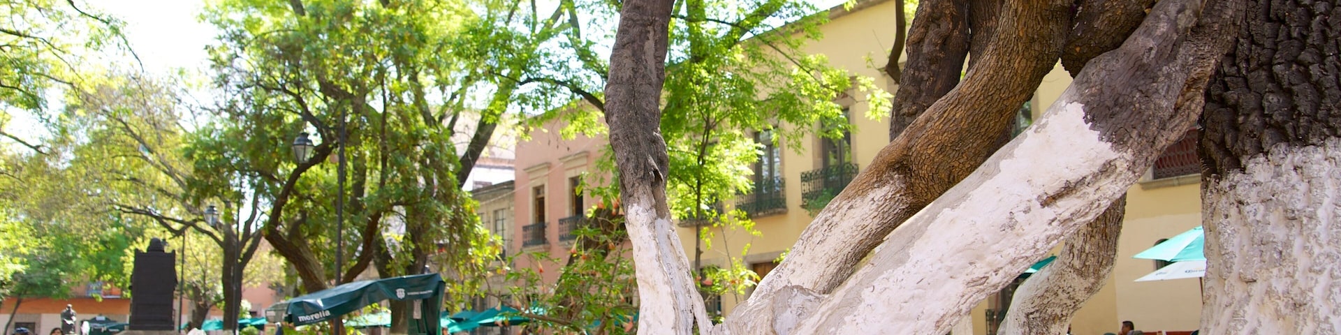 Jardín de Las Rosas das einen Outdoor-Kunst und Garten