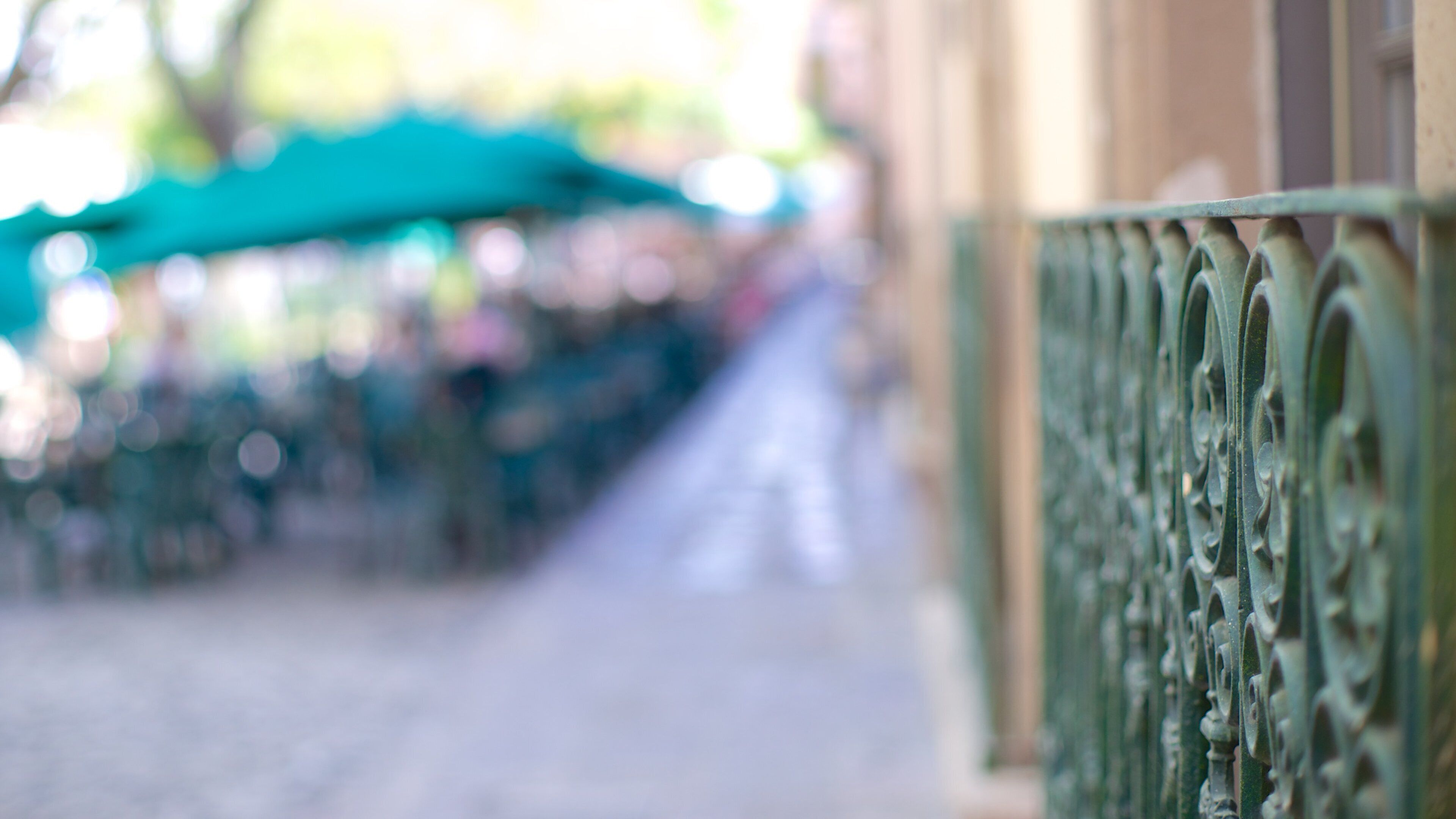 Jardín de las Rosas mostrando escenas urbanas