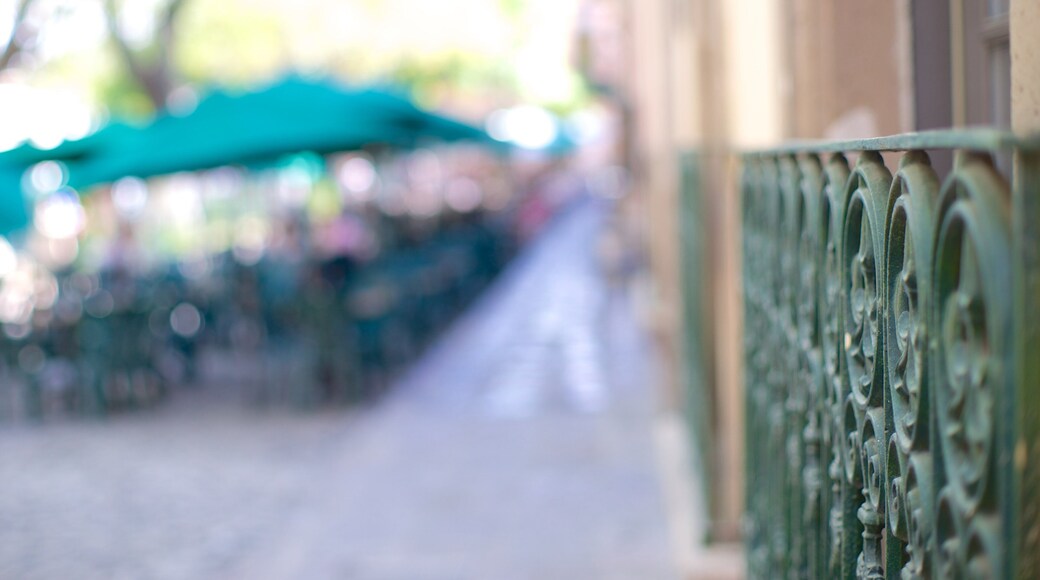 Rosehagen som inkluderer gatescener