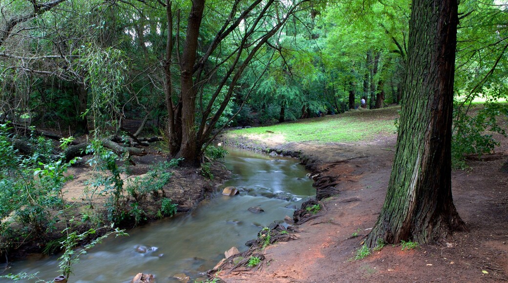 Jardín botánico de Johannesburgo ofreciendo un río o arroyo, imágenes de bosques y jardín