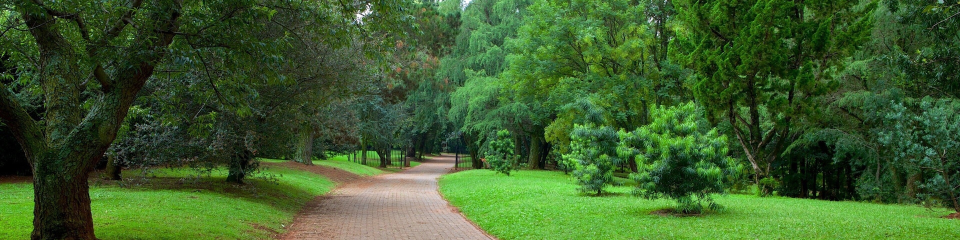 Jardín botánico de Johannesburgo ofreciendo un parque