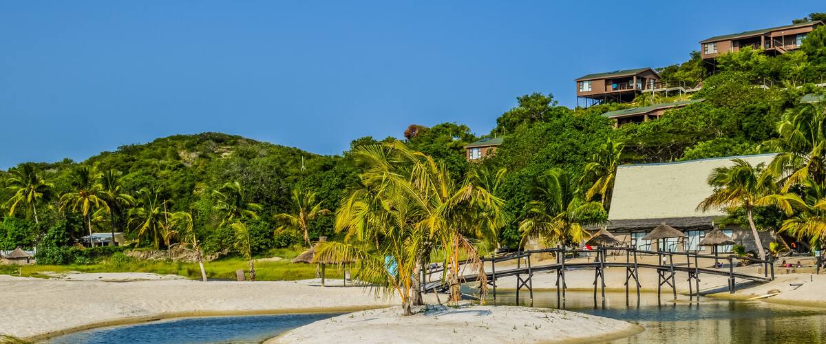 A beach with a wooden bridge over a calm water body, surrounded by lush greenery and palm trees.