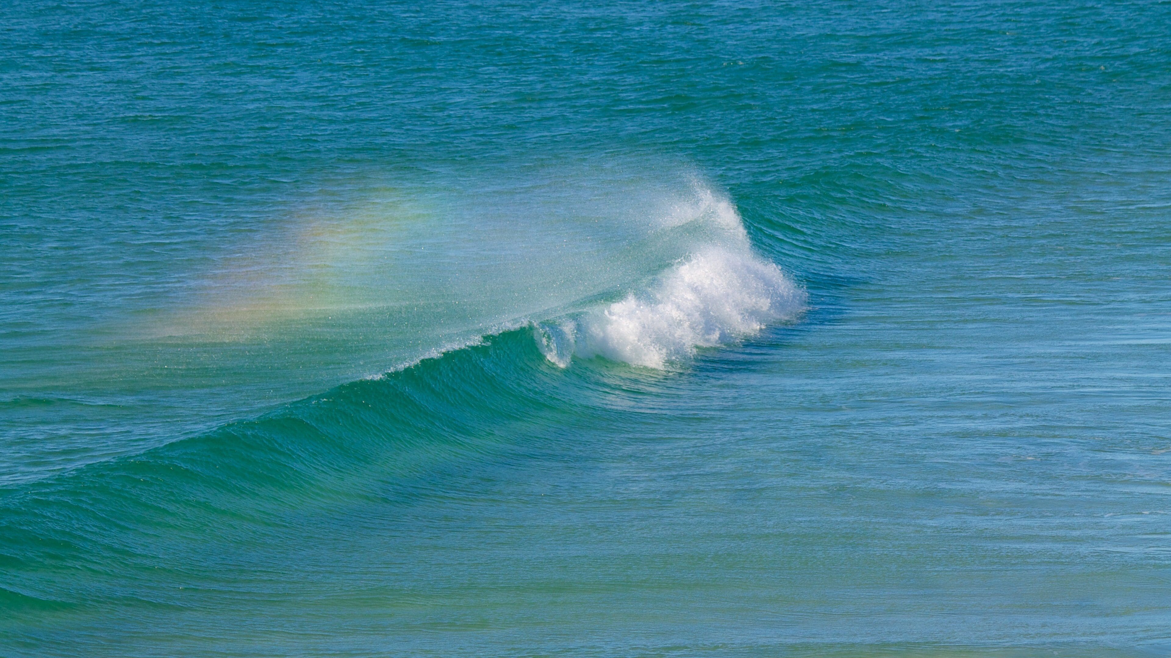 Bulcock Beach featuring waves and general coastal views