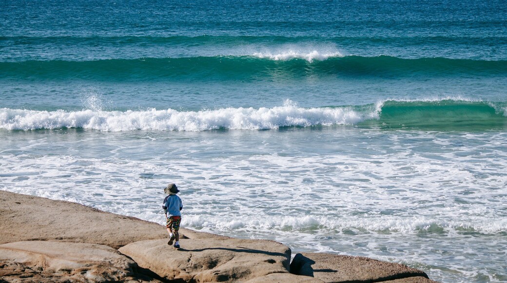 Bulcock Beach showing general coastal views as well as an individual child