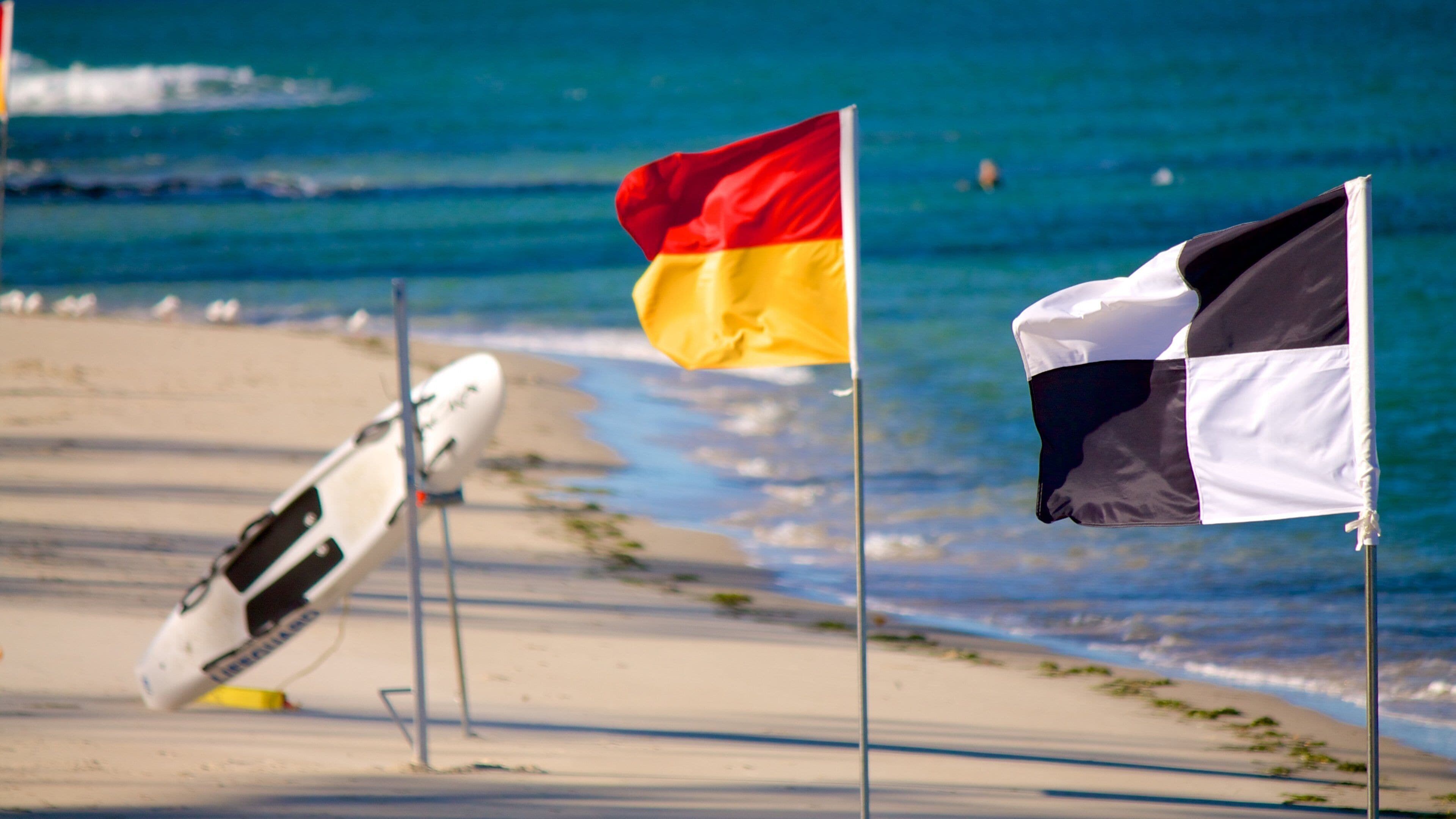 Bulcock Beach featuring a beach