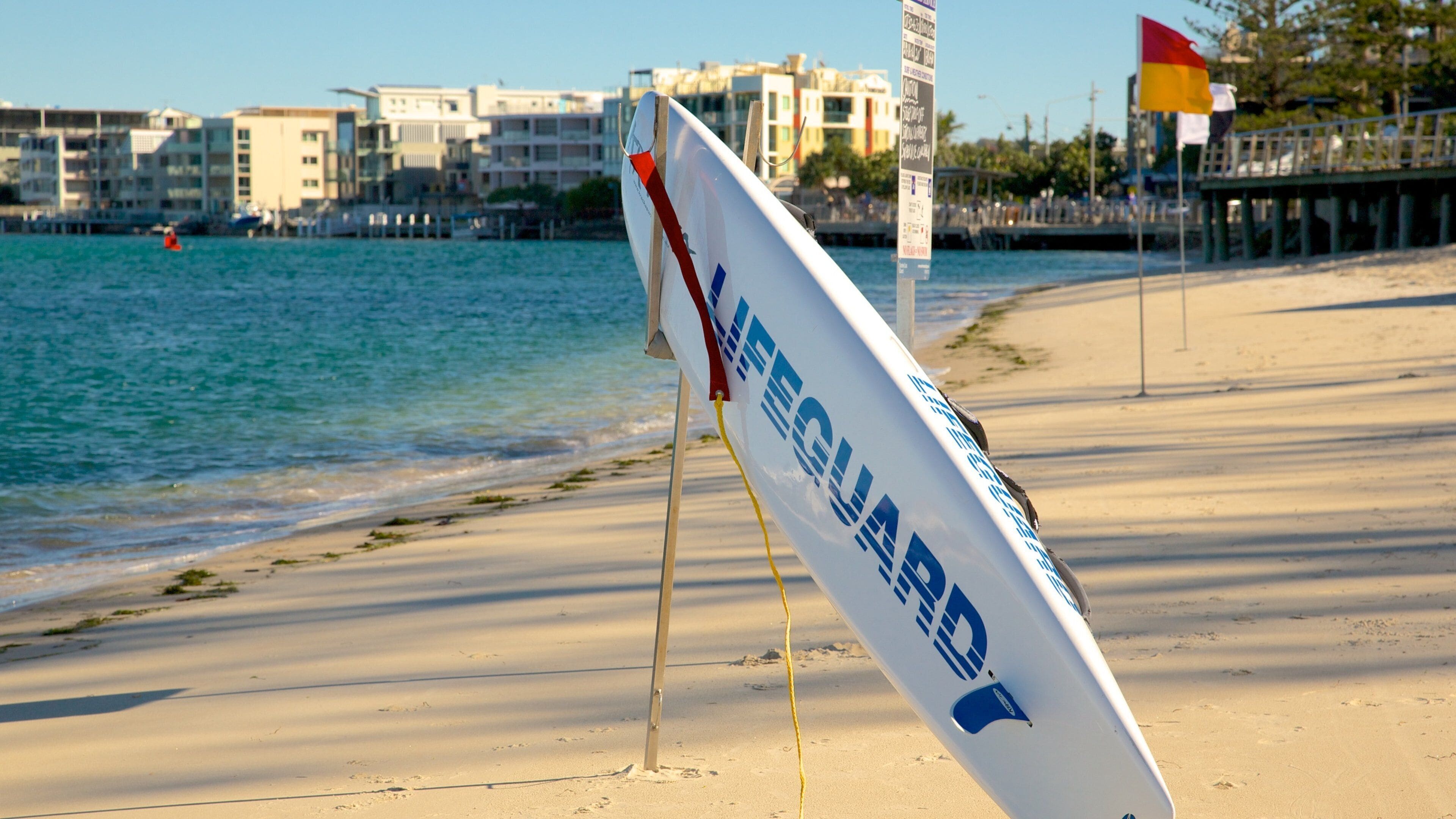 Bulcock Beach which includes a sandy beach