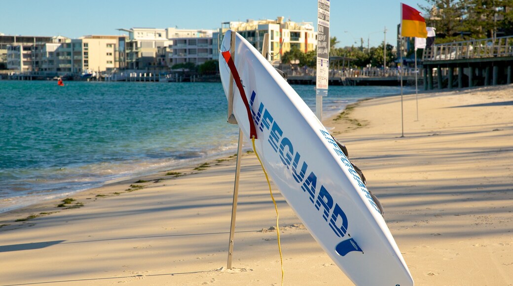Bulcock Beach showing a beach