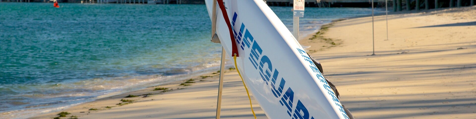 Bulcock Beach which includes a sandy beach