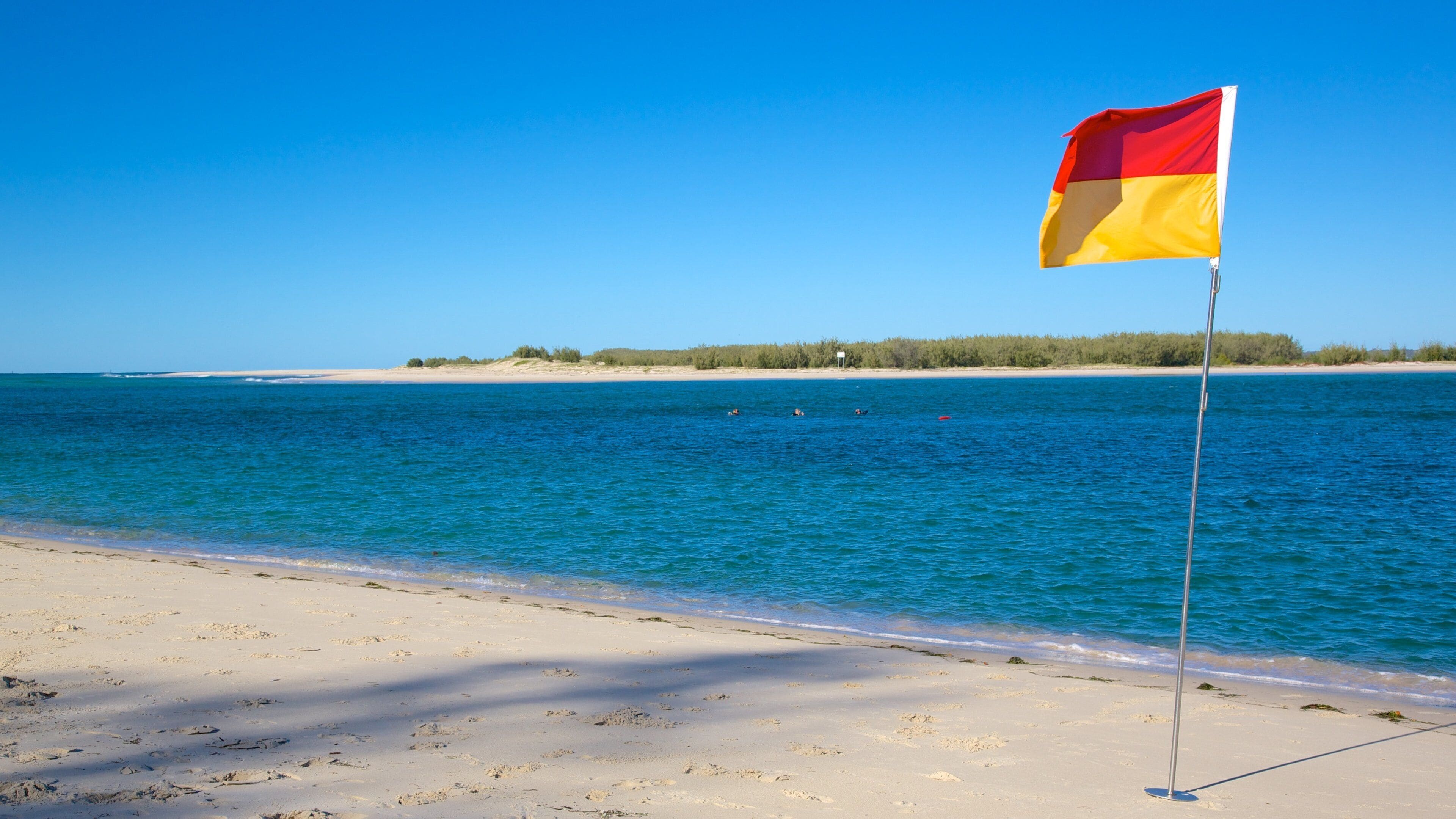 Bulcock Beach showing a sandy beach