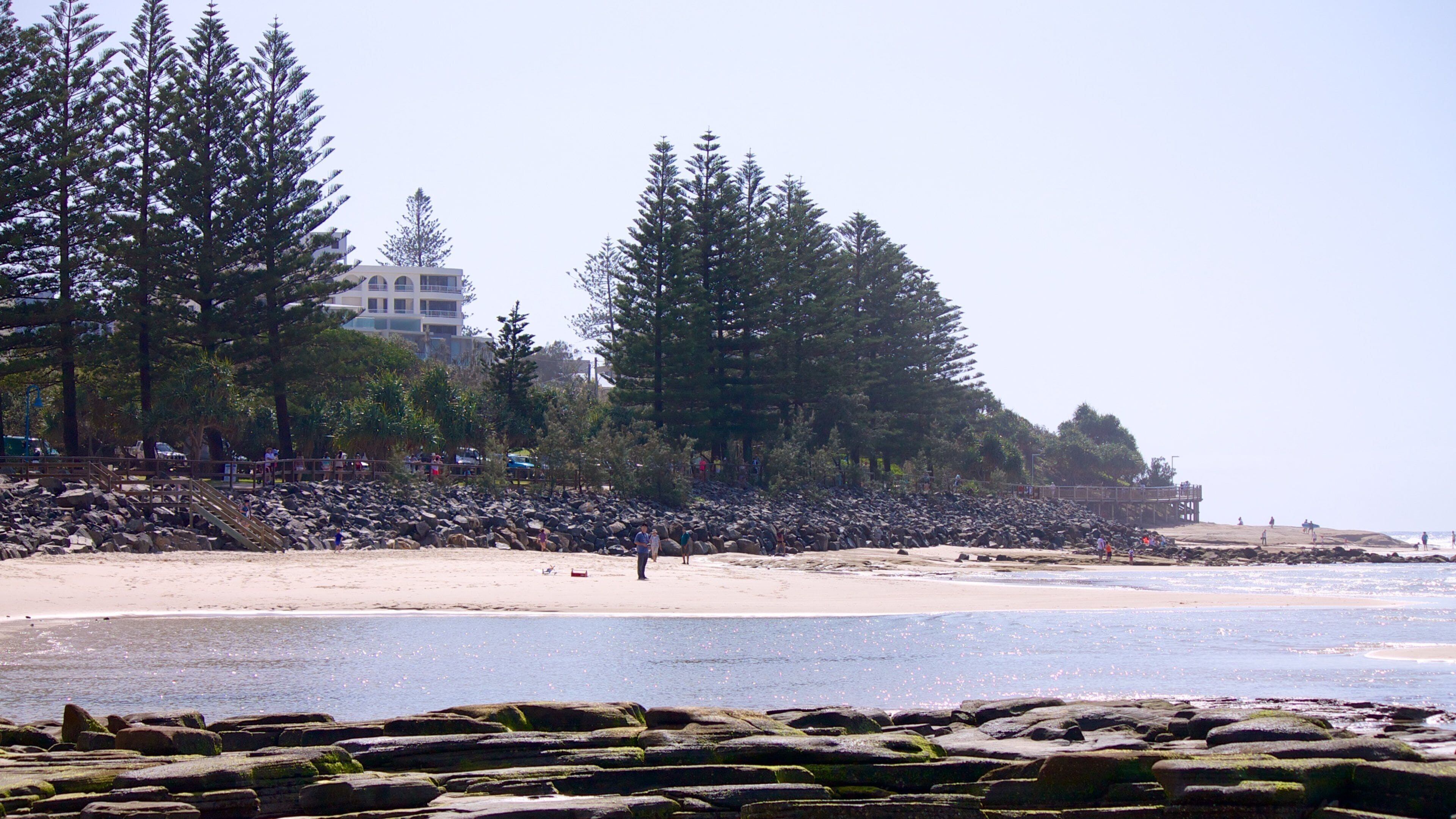 Bulcock Beach showing a beach