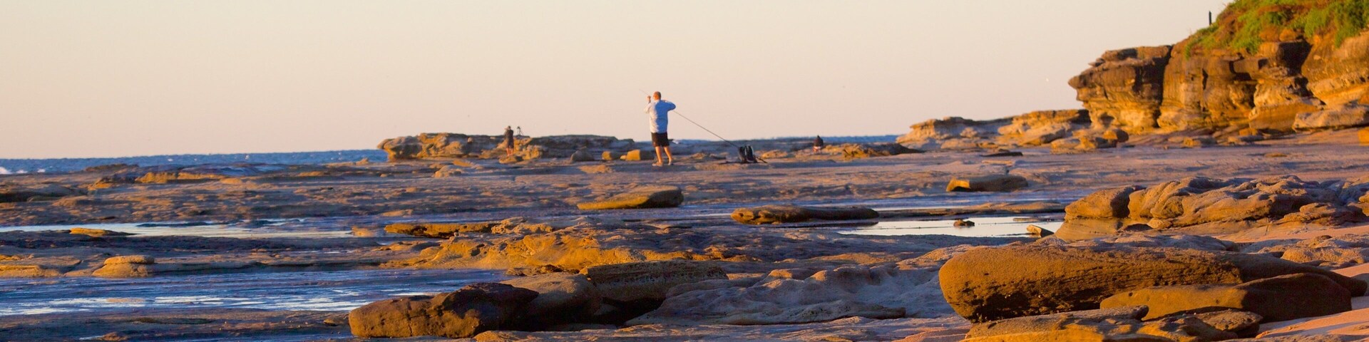 Shelly Beach which includes general coastal views and rugged coastline