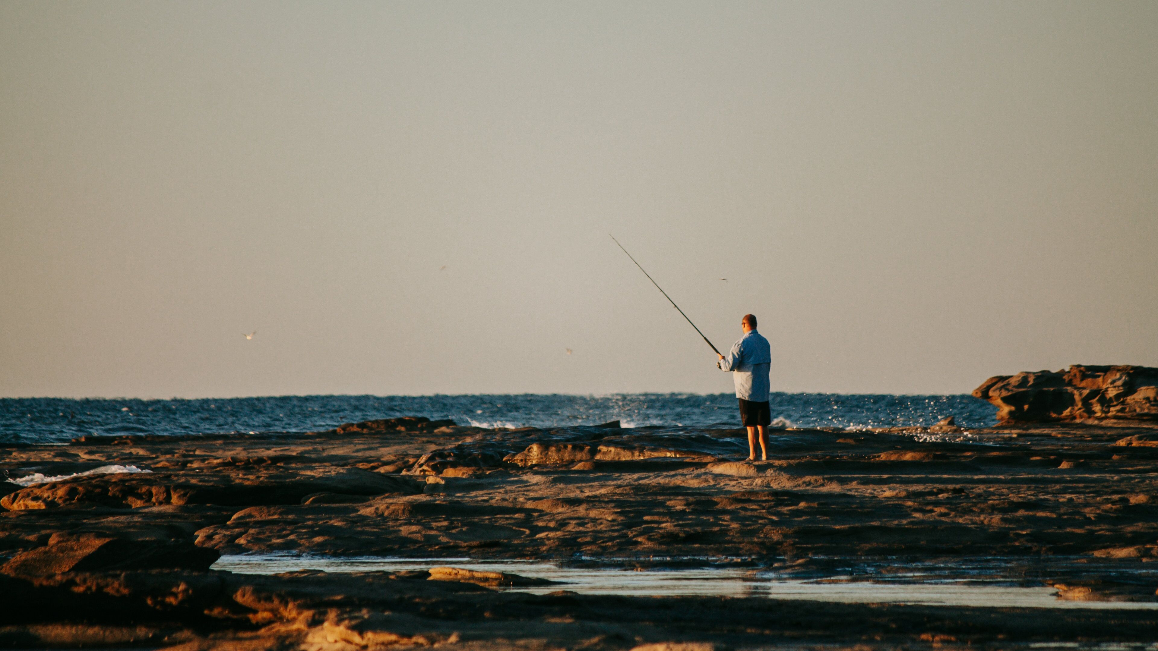 Shelly Beach which includes fishing, general coastal views and a sunset