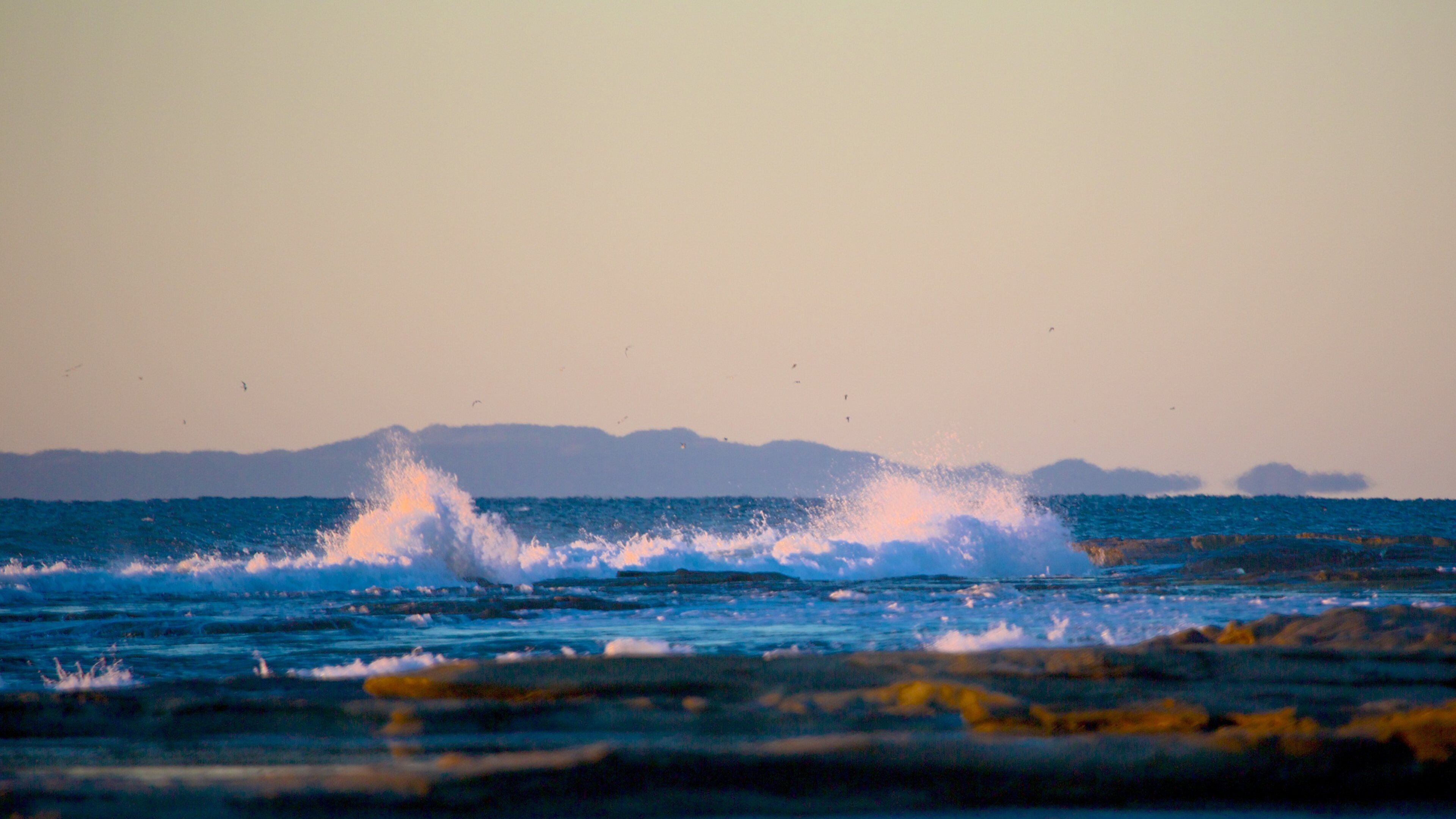 Shelly Beach showing general coastal views and landscape views