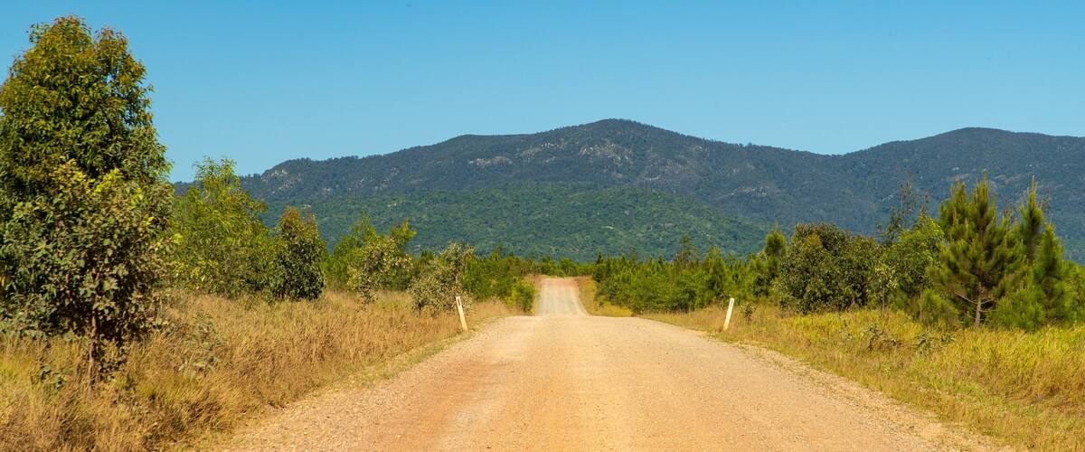 Byfield National Park featuring tranquil scenes