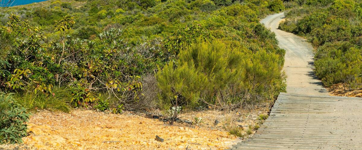 Byfield National Park featuring general coastal views