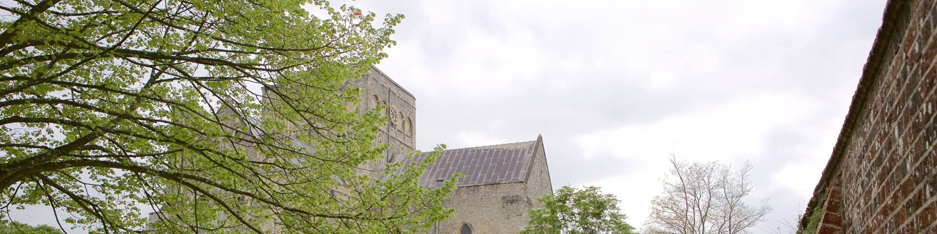 Hospital of St Cross featuring heritage architecture and a park
