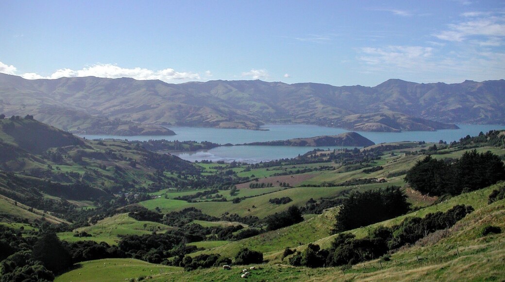 I would not be surprised if we end up living there. A paradise!