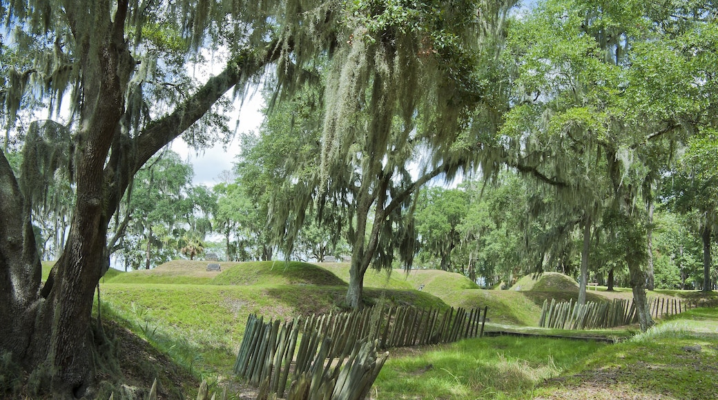 The earthworks and palisade at Fort McAllister, Richmond Hills, Georgia