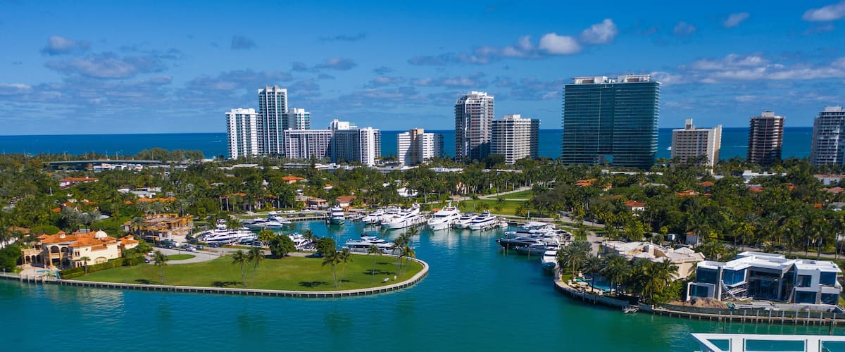 A marina with yachts, a city skyline, and a clear blue sky.