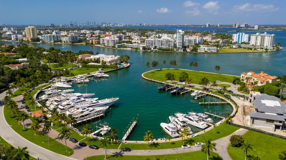 A marina with yachts, a city skyline, and a body of water.