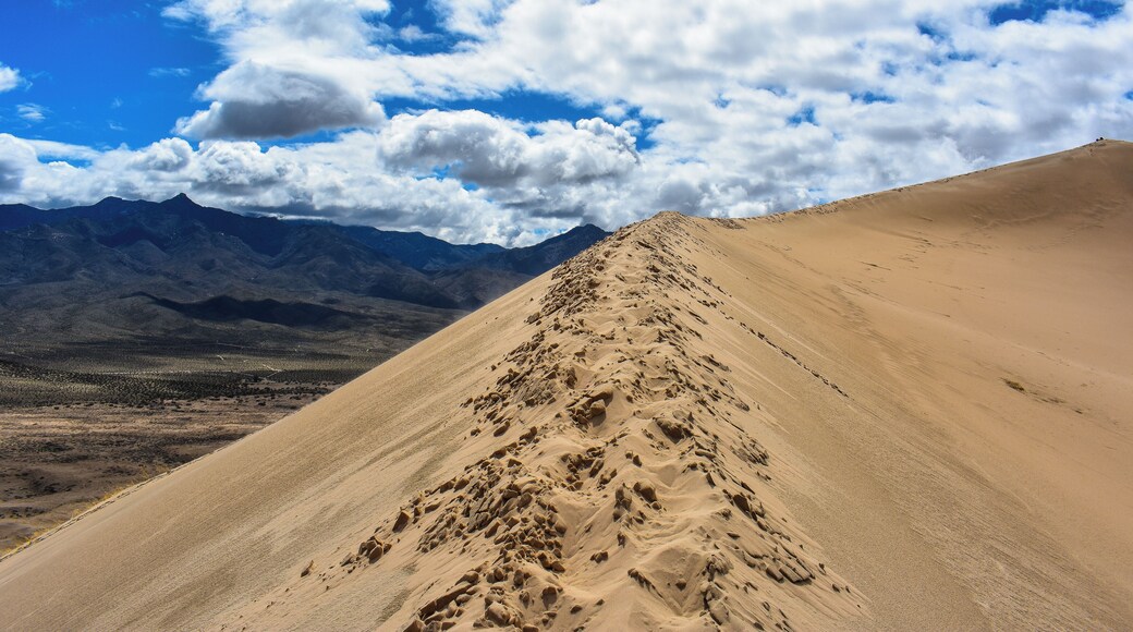 Extremely tall sand dunes in the middle of the Mojave Desert. Views from the top are incredible.
#adventure