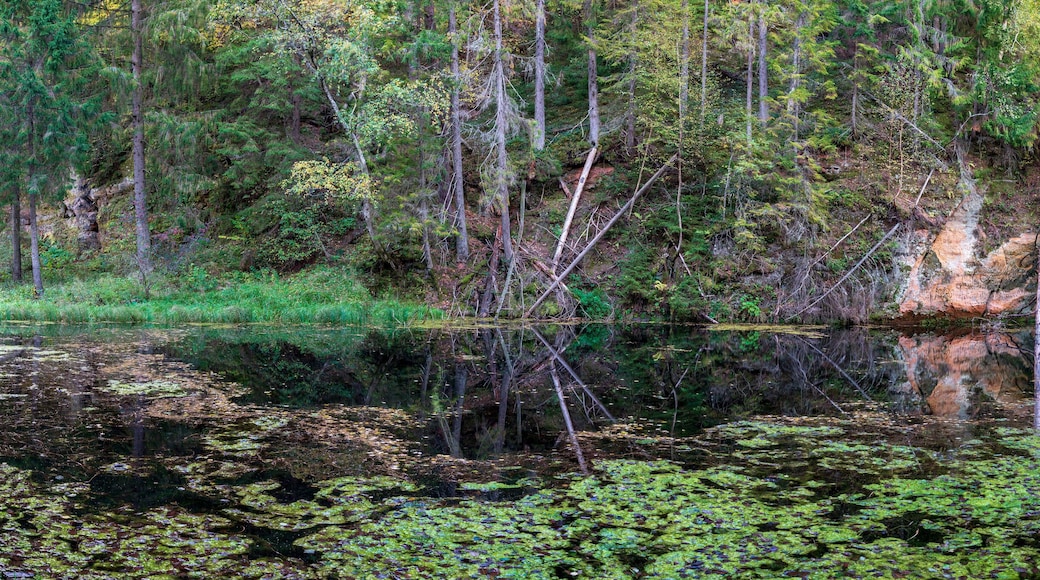 Municipalidad de Adazi