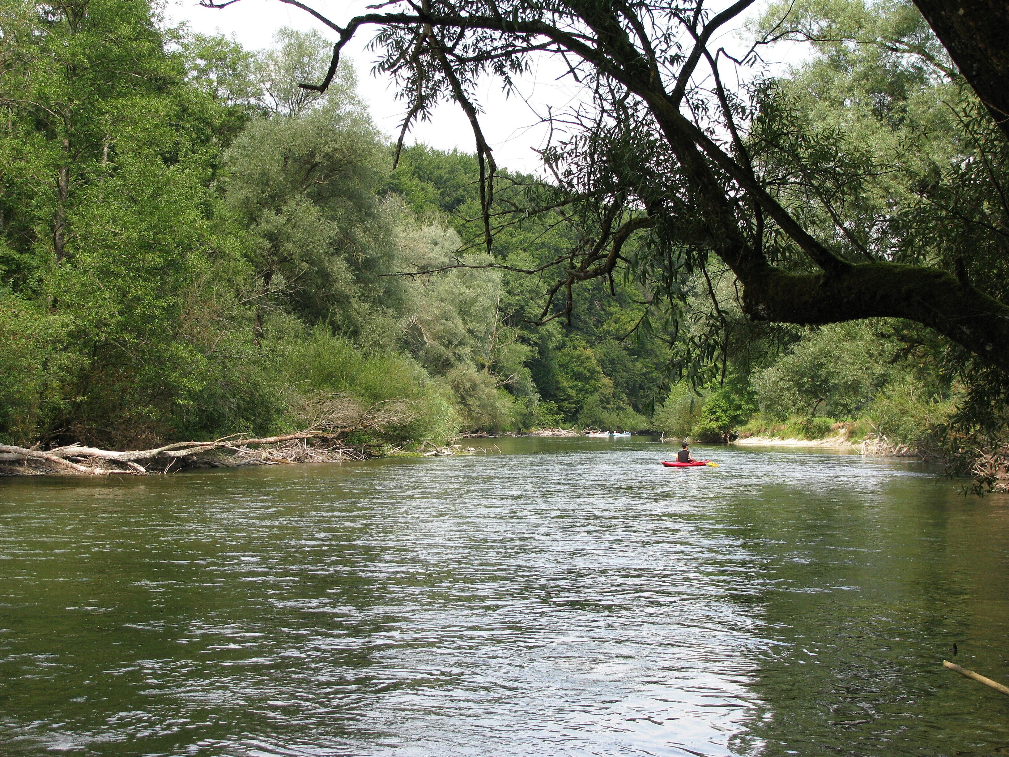 Die Amper zwischen Grafrath und Schöngeising