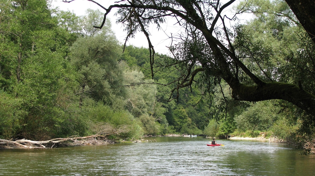 Die Amper zwischen Grafrath und Schöngeising