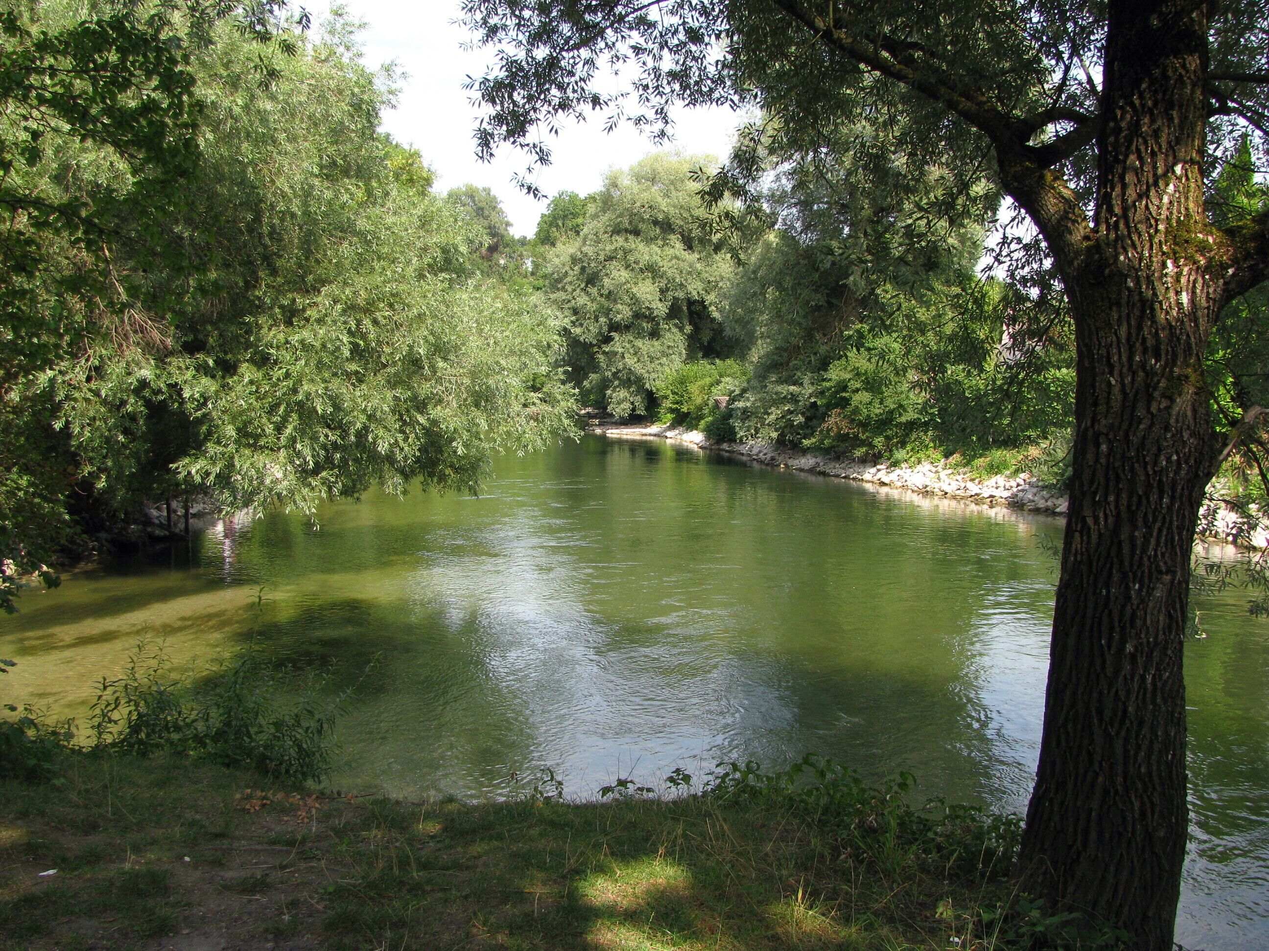 Die Amper in Grafrath im LSG Obere Amper, gesehen von der Amperinsel, flussabwärts.