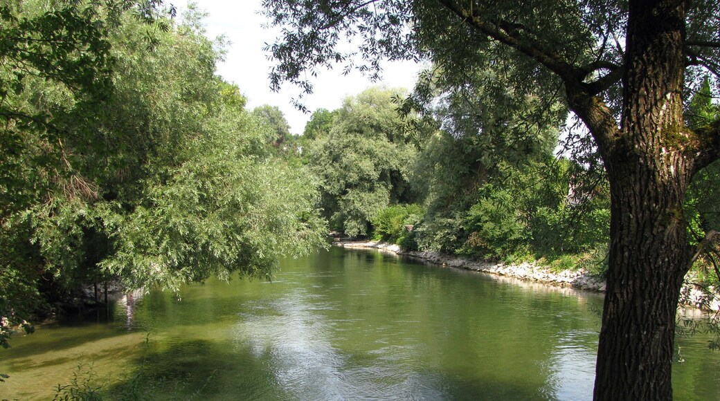 Die Amper in Grafrath im LSG Obere Amper, gesehen von der Amperinsel, flussabwärts.