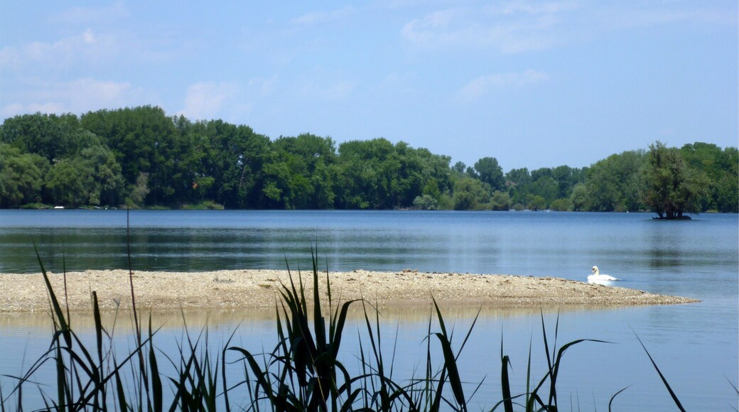 Naturschutzgebiet „Altrhein Maxau“ is a nature reserve in Baden-Württemberg, Germany.