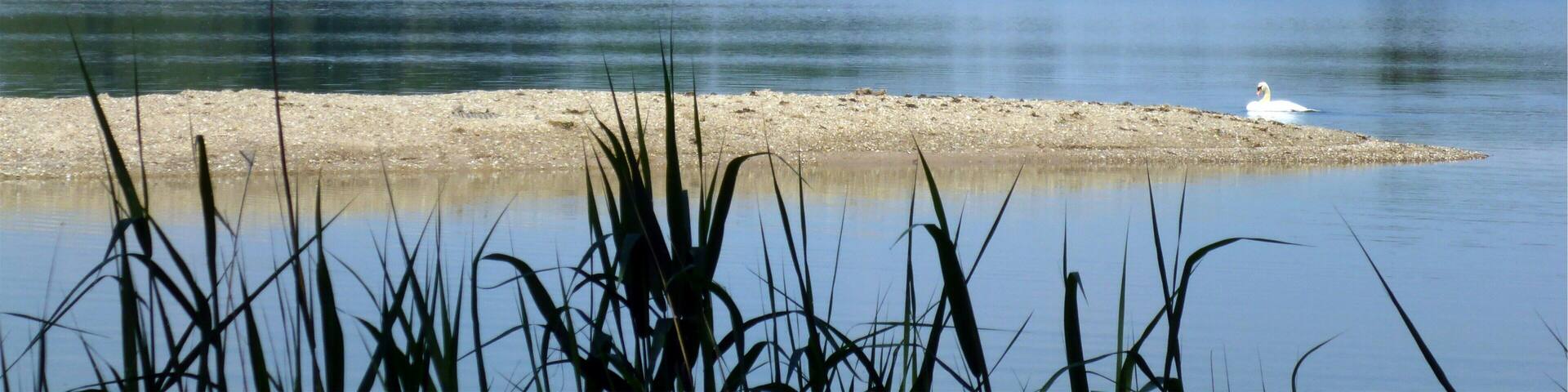 Naturschutzgebiet âAltrhein Maxauâ is a nature reserve in Baden-WĂŒrttemberg, Germany.