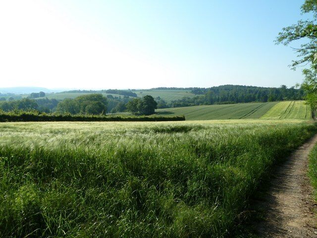 Felder am Heuberg bei Weingarten